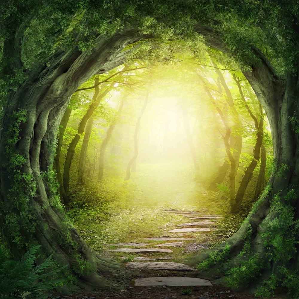 Vanpath, Forest Pathway Wallpaper Mural Custom pattern detail