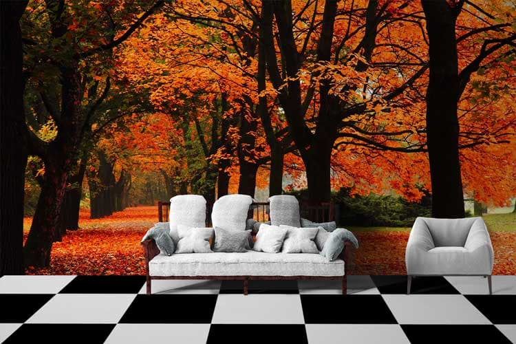 Artistic Orange Tree Nature Inspired Wall Mural Wallpaper shown in a room