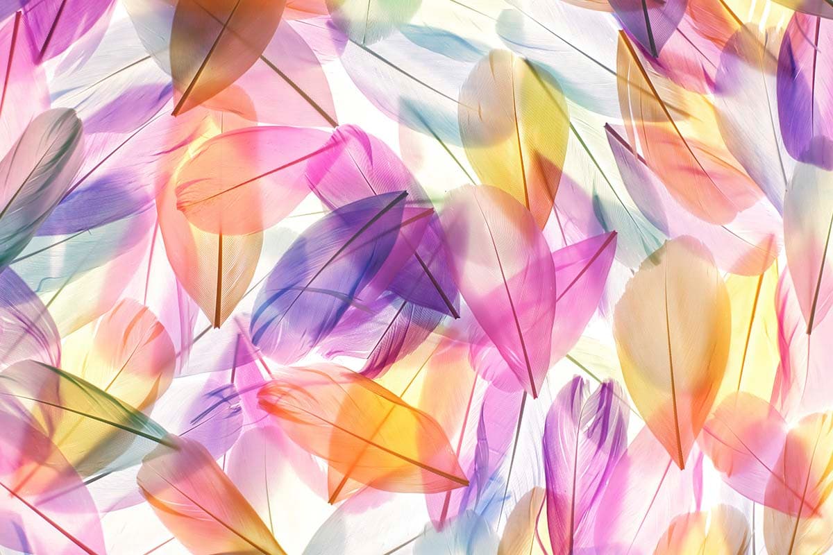 Dynamic Feather Pattern with Colorful Flow Wallpaper pattern detail
