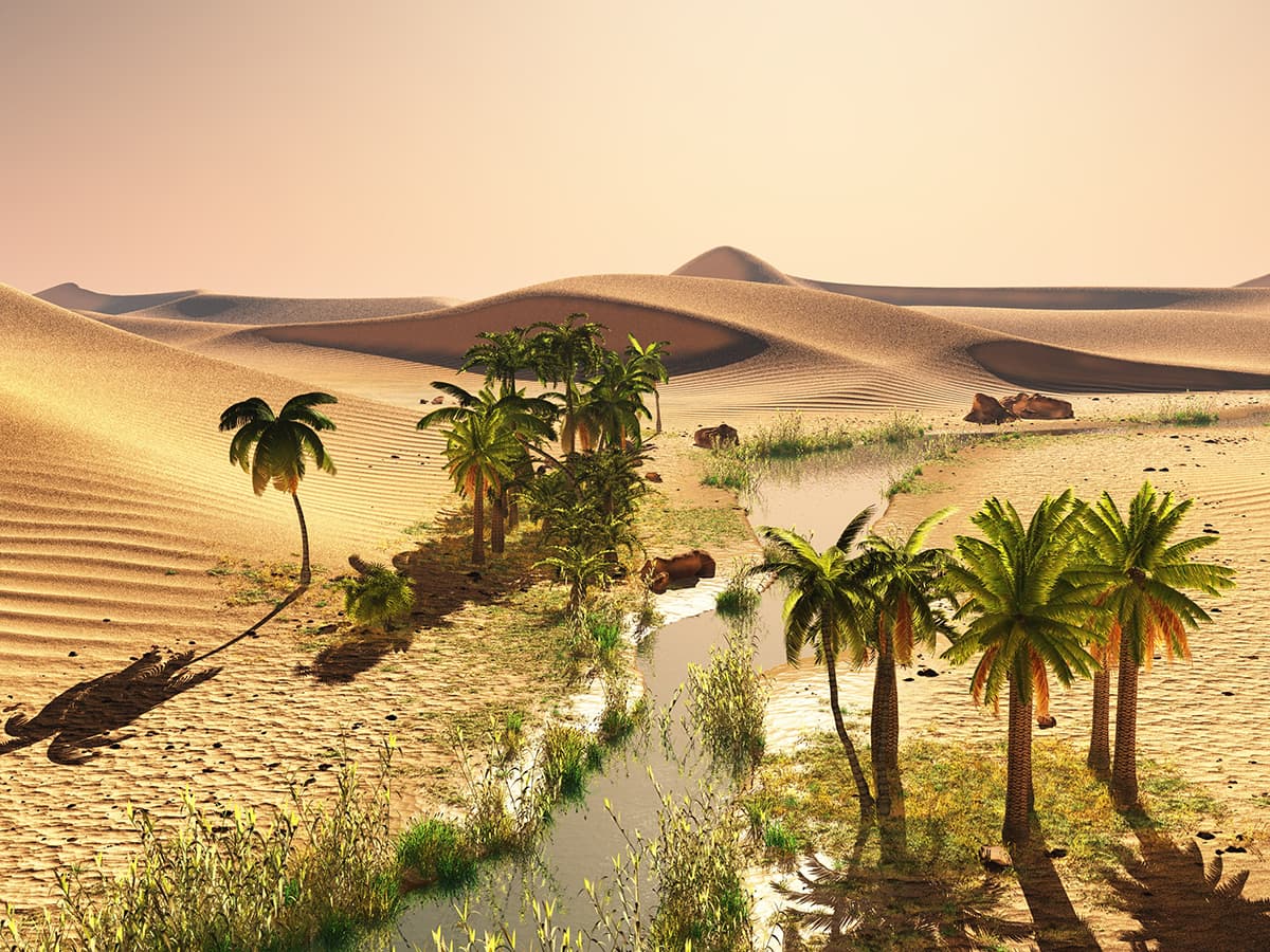 Desert Landscape with Palm Trees and River Scenic Wallpaper pattern detail