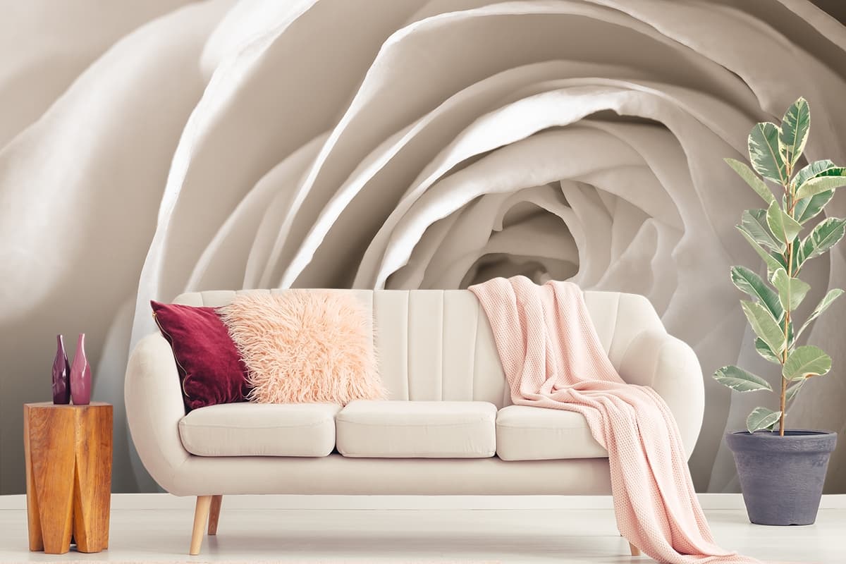 3D Close up Of a White Rose Wallpaper for Living Room shown in a room