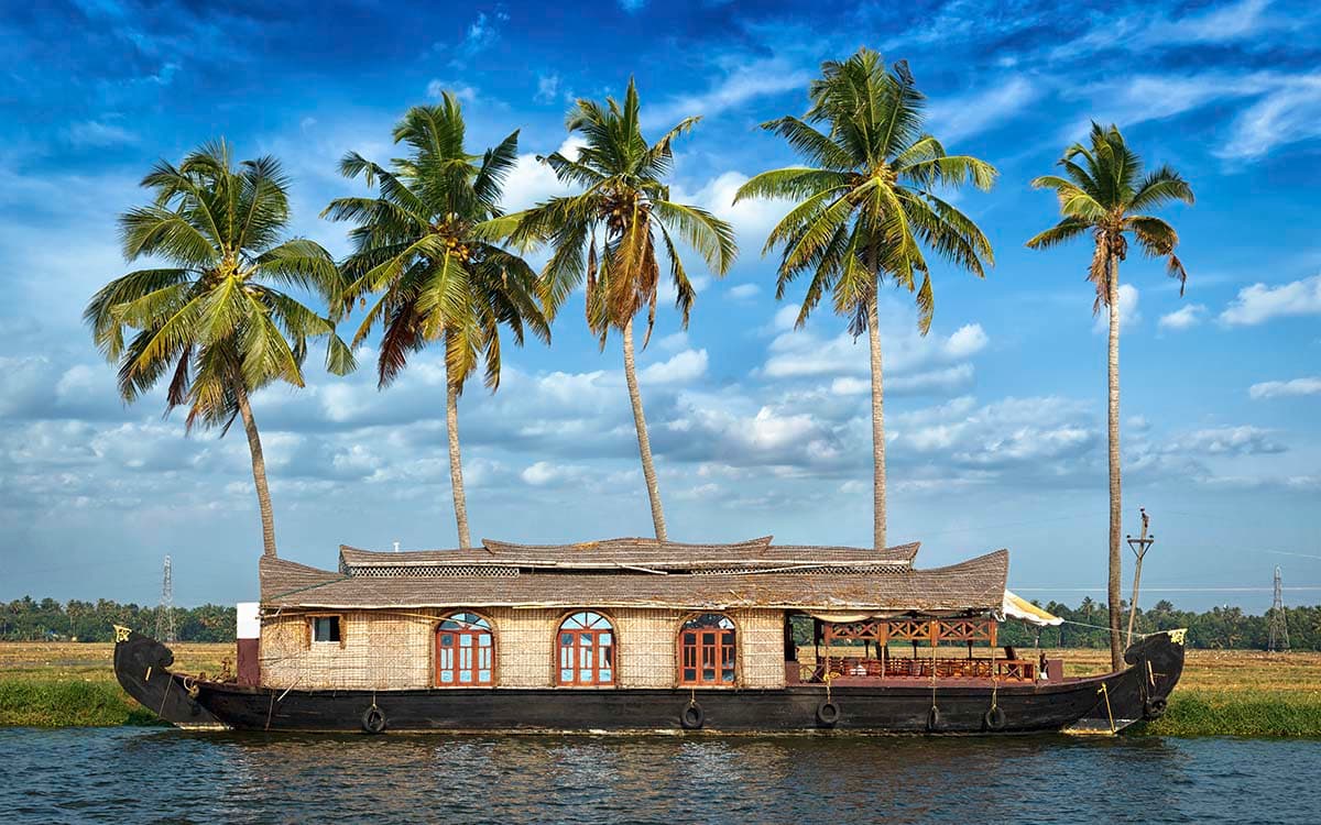 3D Feel House Boat and Palm Trees Wallpaper for Living Room pattern detail