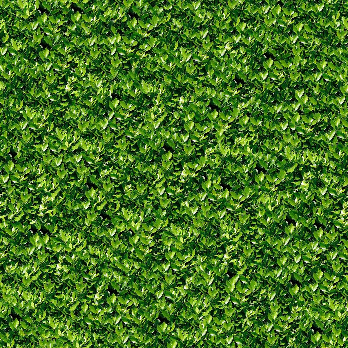 Green Leaves Wallpaper for Home pattern detail