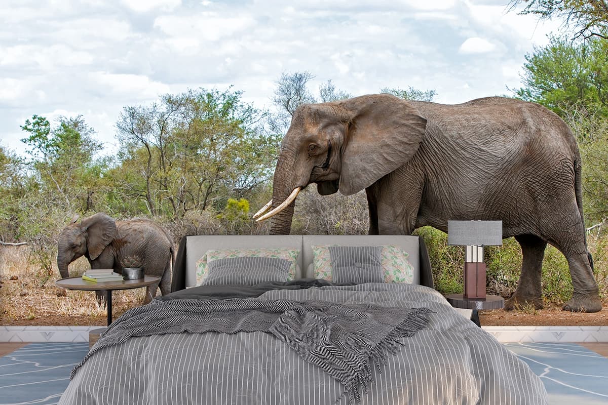 Elephant Wallpaper for Walls, Elephants walking in the wild shown in a room
