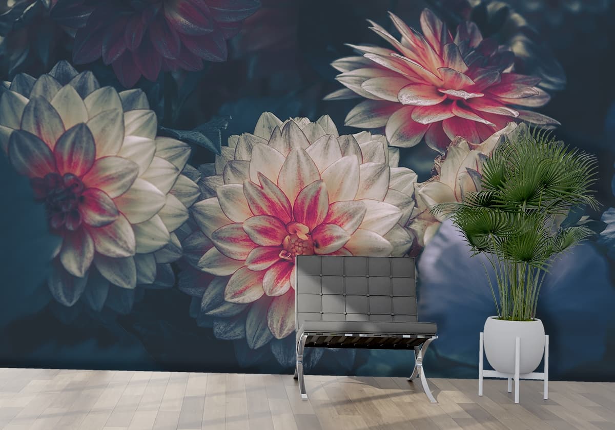 A group of flowers with pink petals shown in a room