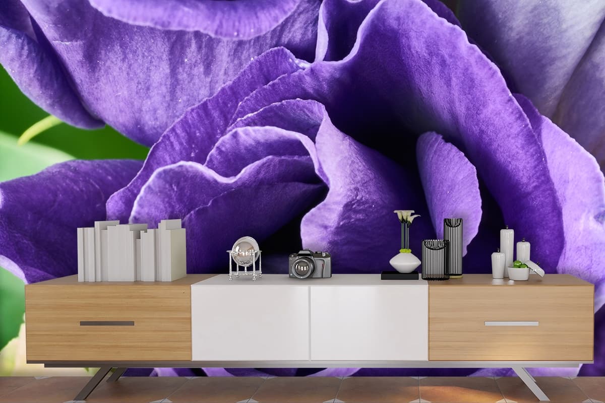 Purple Rose Close Up Wallpaper for Home shown in a room