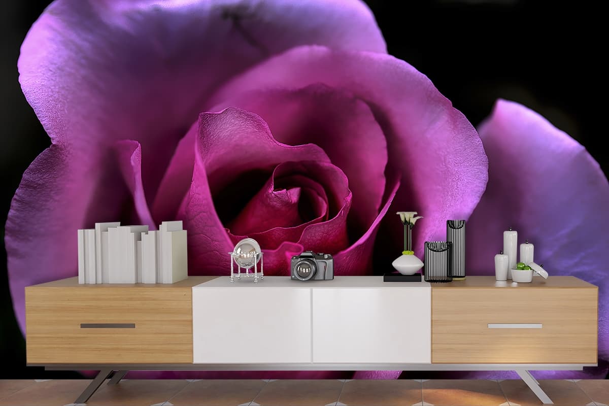 3D Purple Rose Wallpaper for Living Room shown in a room