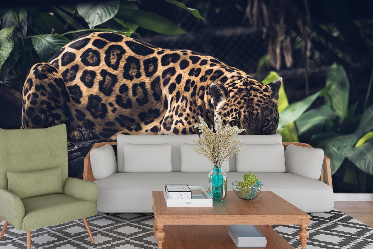 Jaguar Wallpaper for Wall shown in a room