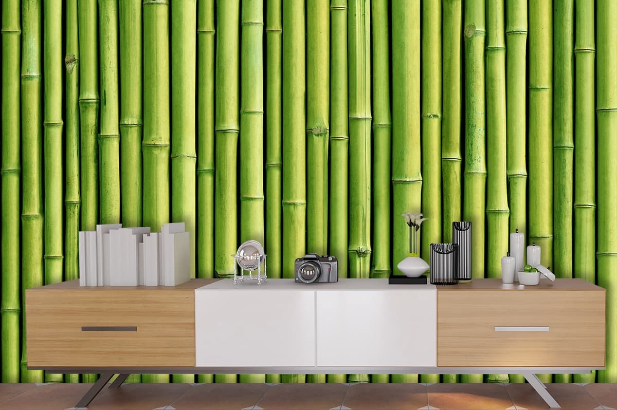 Bamboo Wallpaper for Wall 3D Green shown in a room