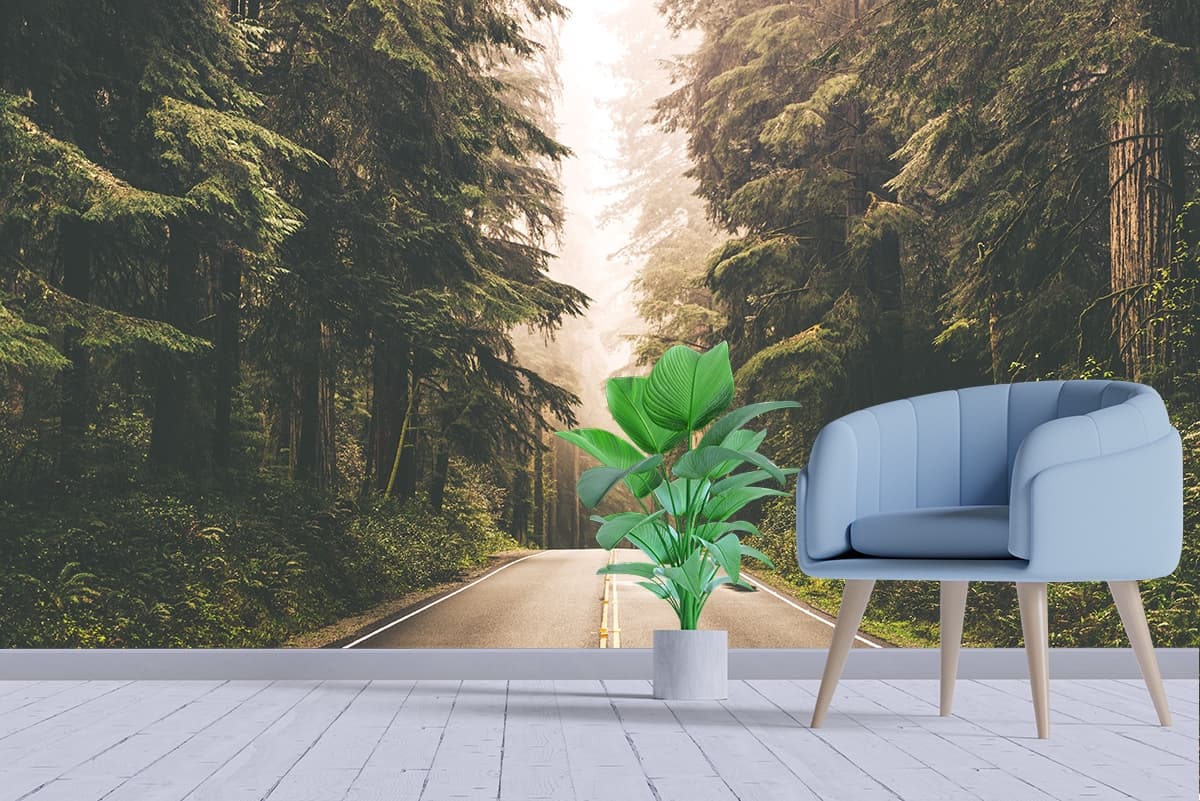 Road With Trees 3D Wallpaper For Living Room shown in a room