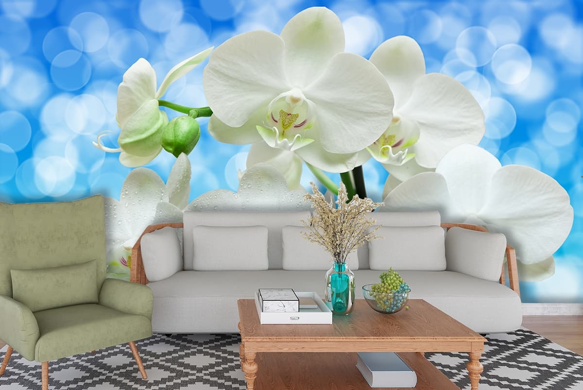 Close-up of White Flowers, 3D Wallpaper for Living Room shown in a room