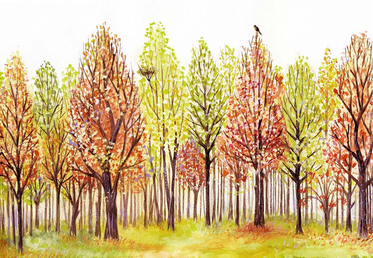 A group of trees with colorful leaves pattern detail