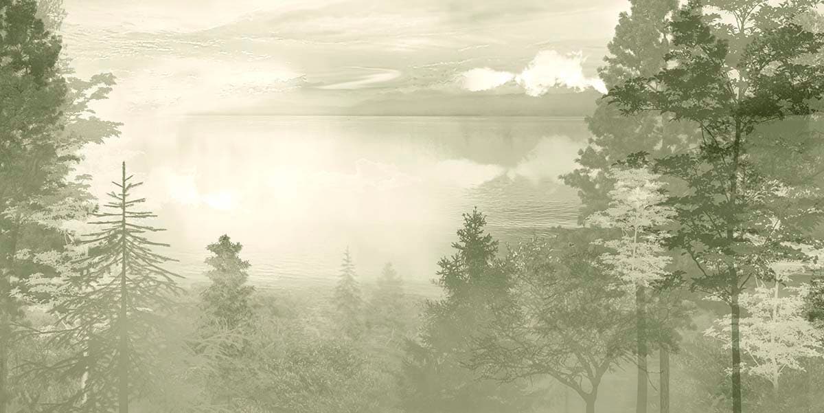 Luxury Foggy Landscape with Water Reflection Wallpaper pattern detail