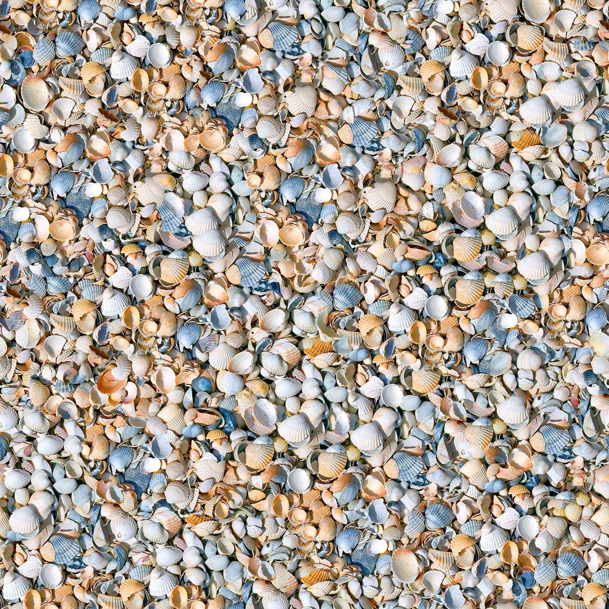 3D Shells on The Ground Wallpaper for Wall pattern detail