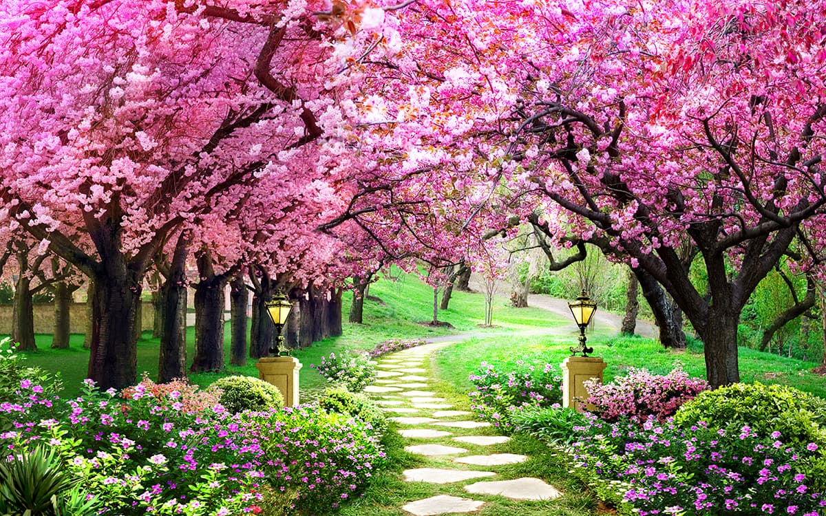 3D Effect Cherry Blossom Trees Wallpaper for Living Room pattern detail