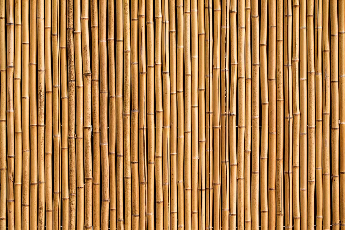 3D Brown Bamboo Wallpaper pattern detail