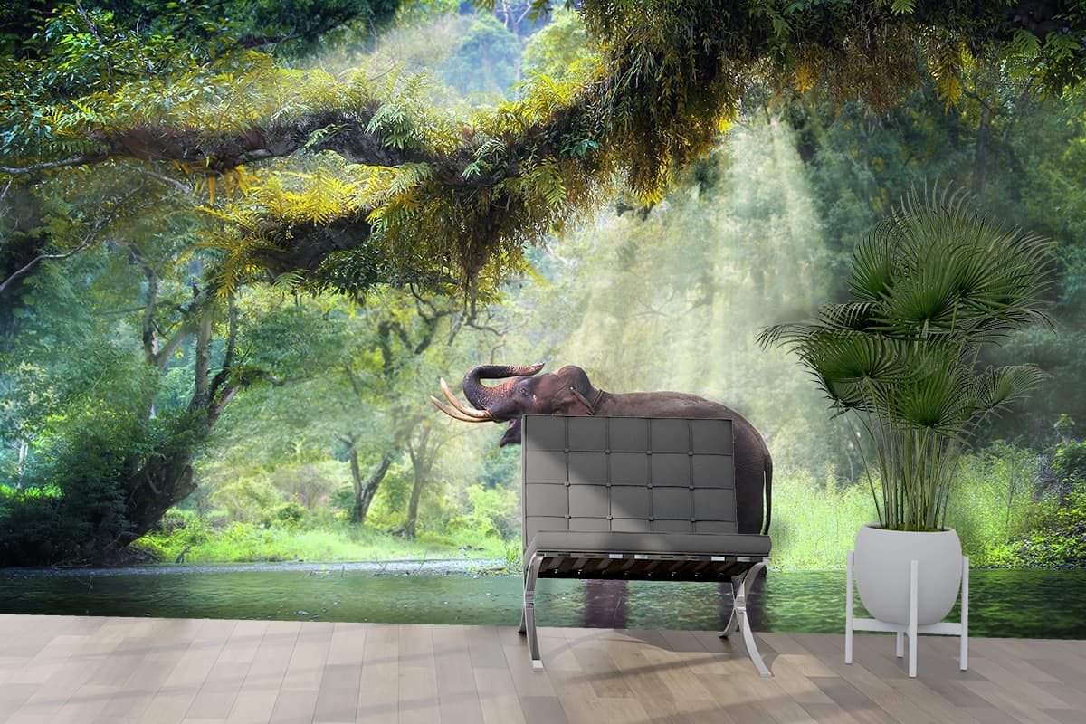 Majestic Elephant in Forest Wallpaper Mural shown in a room