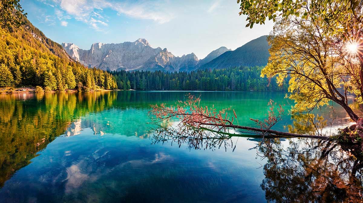 Beautiful River Landscape, Forest Wallpaper for Walls pattern detail