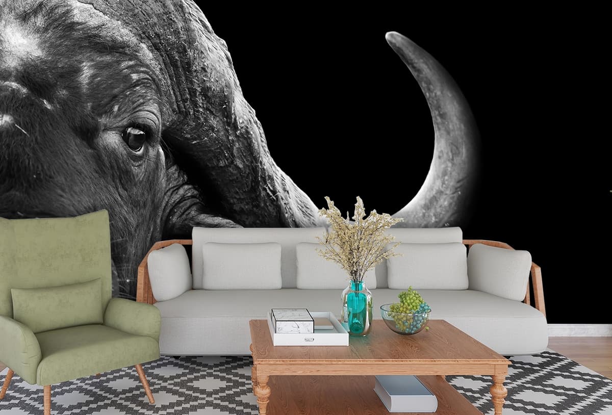 Modern Black and White Buffalo Horn Art Wall Wallpaper shown in a room