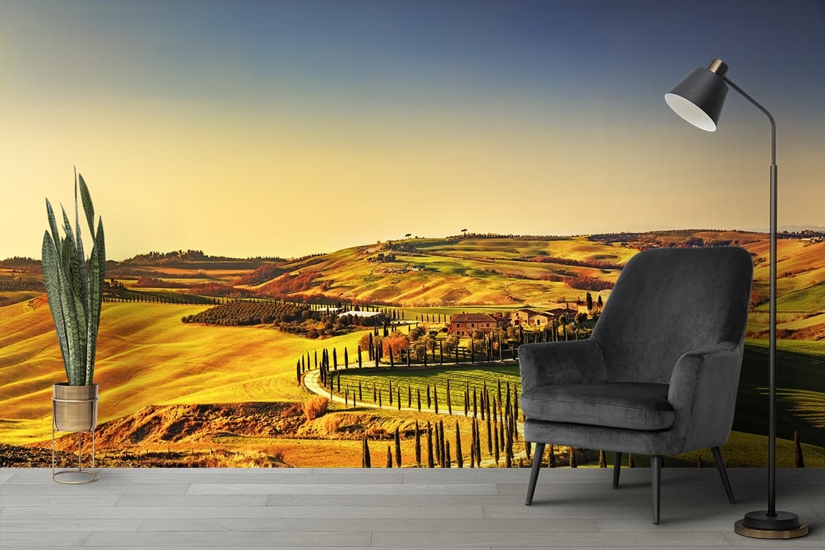 A winding road in a green field shown in a room