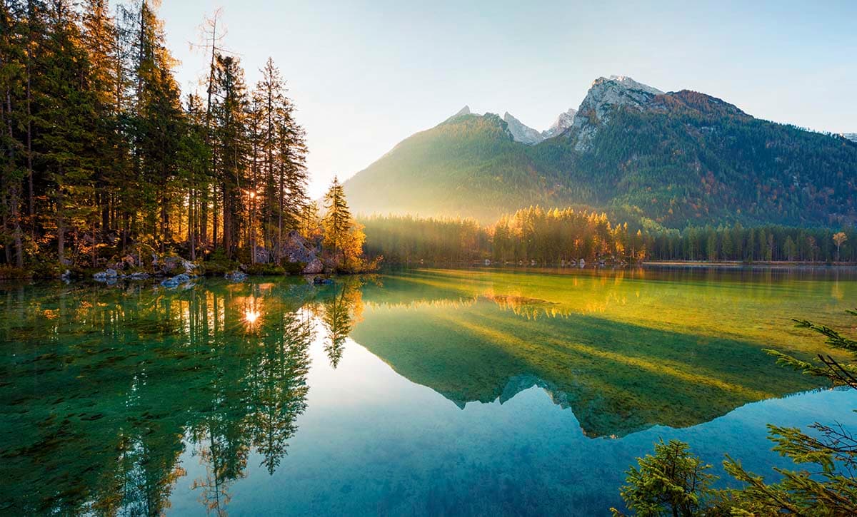 Mountains and Trees, Forest Wallpaper for Walls pattern detail