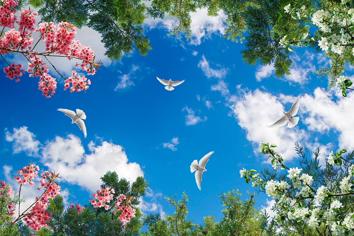Blue Sky Ceiling Wallpaper for 5th Wall pattern detail