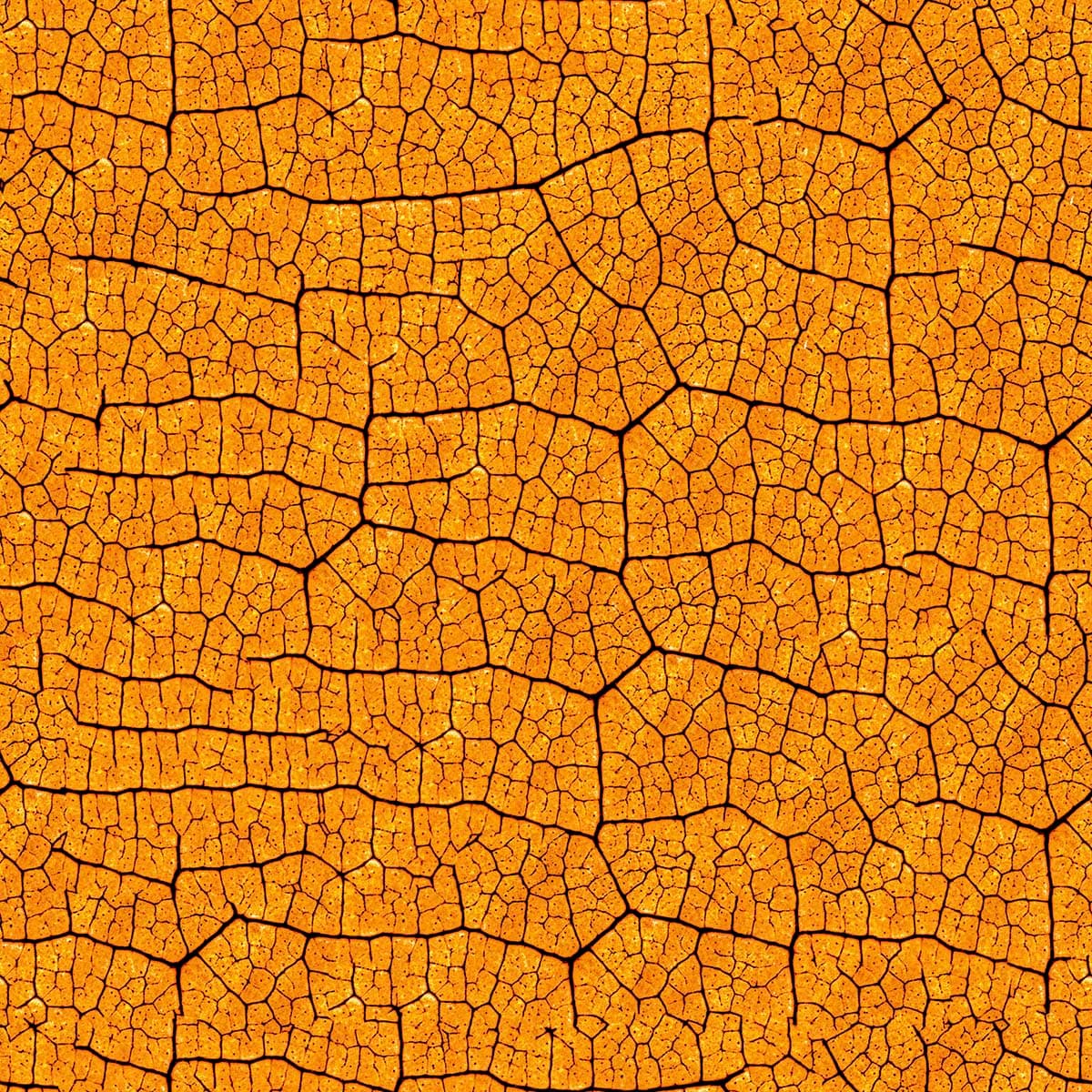 A close up of a leaf pattern detail