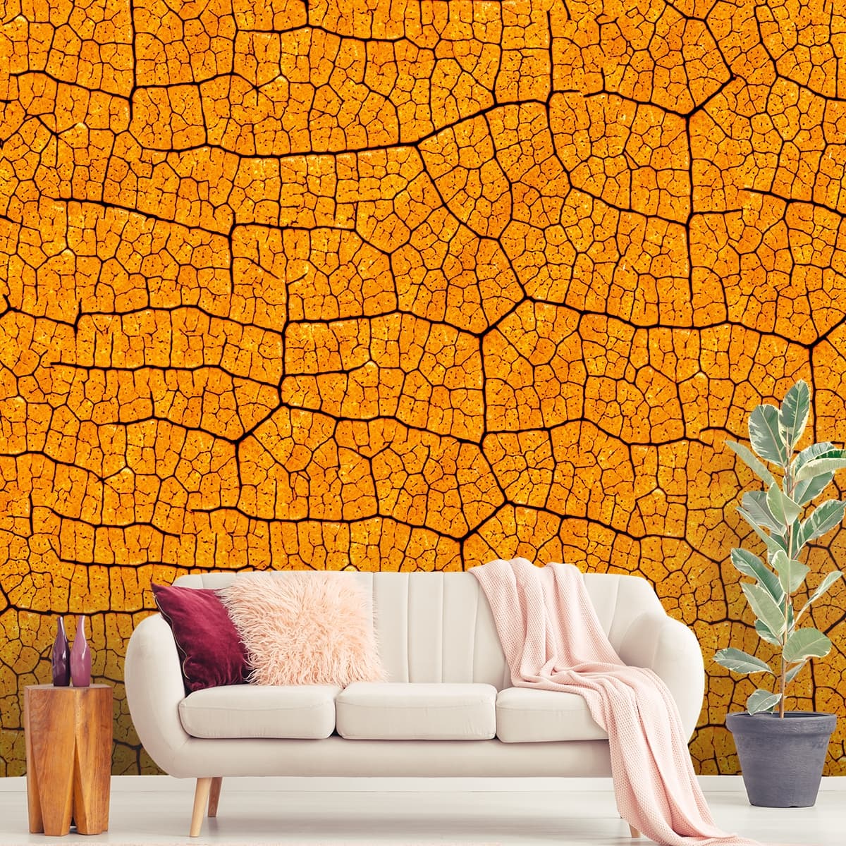 A close up of a leaf shown in a room