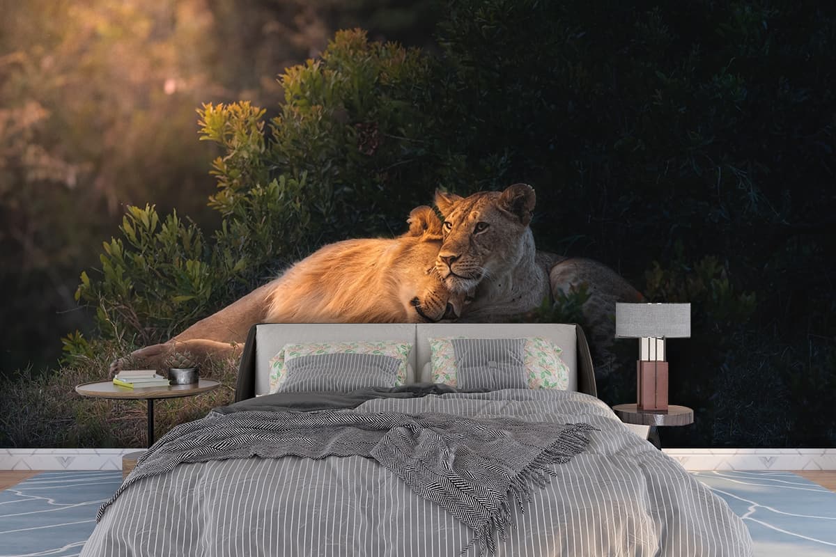 Beautiful Lions Wallpaper Mural shown in a room