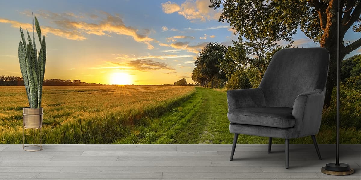 Green Grass Field with Trees and Sunset Wallpaper shown in a room
