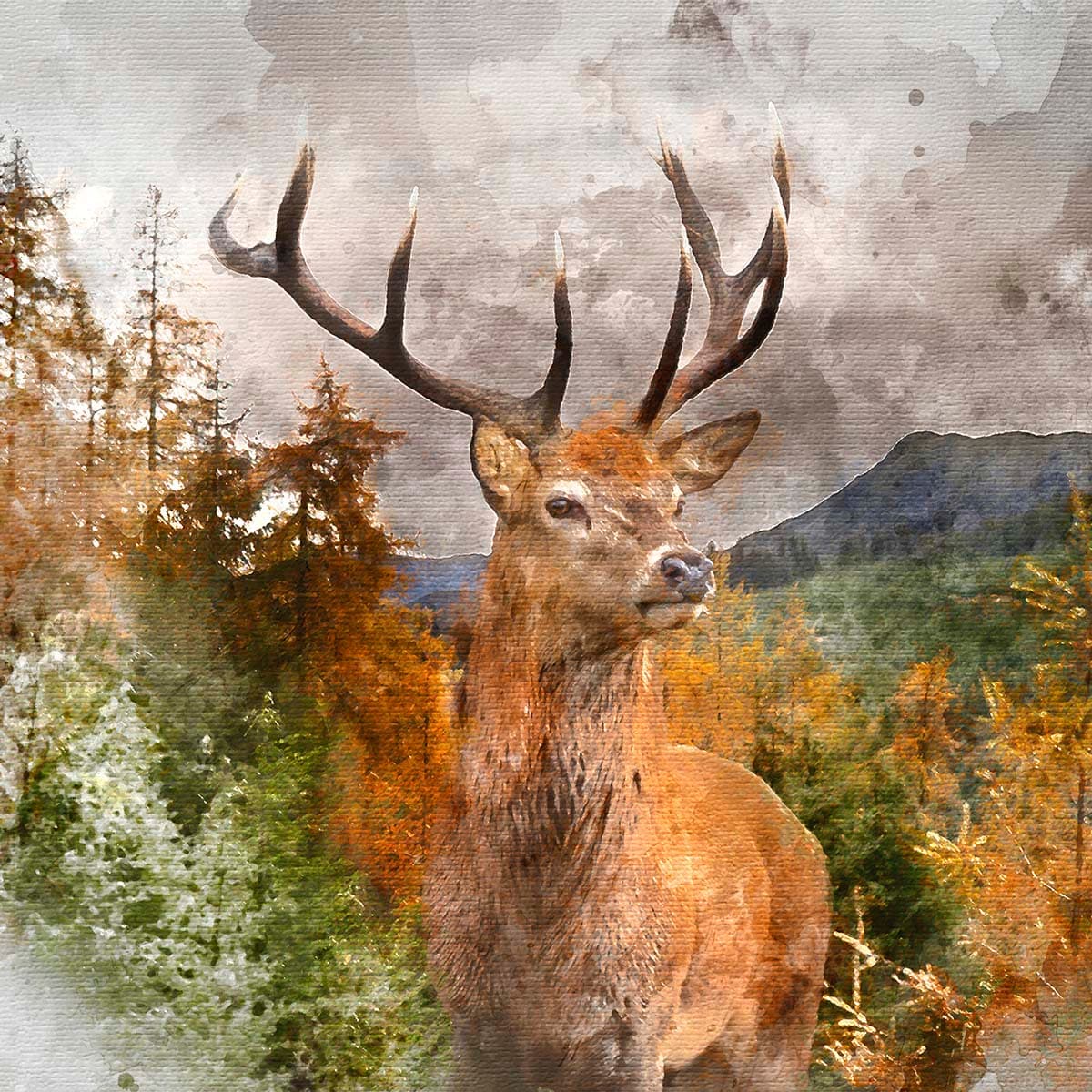 Majestic Deer with Antlers in Forest Wallpaper pattern detail