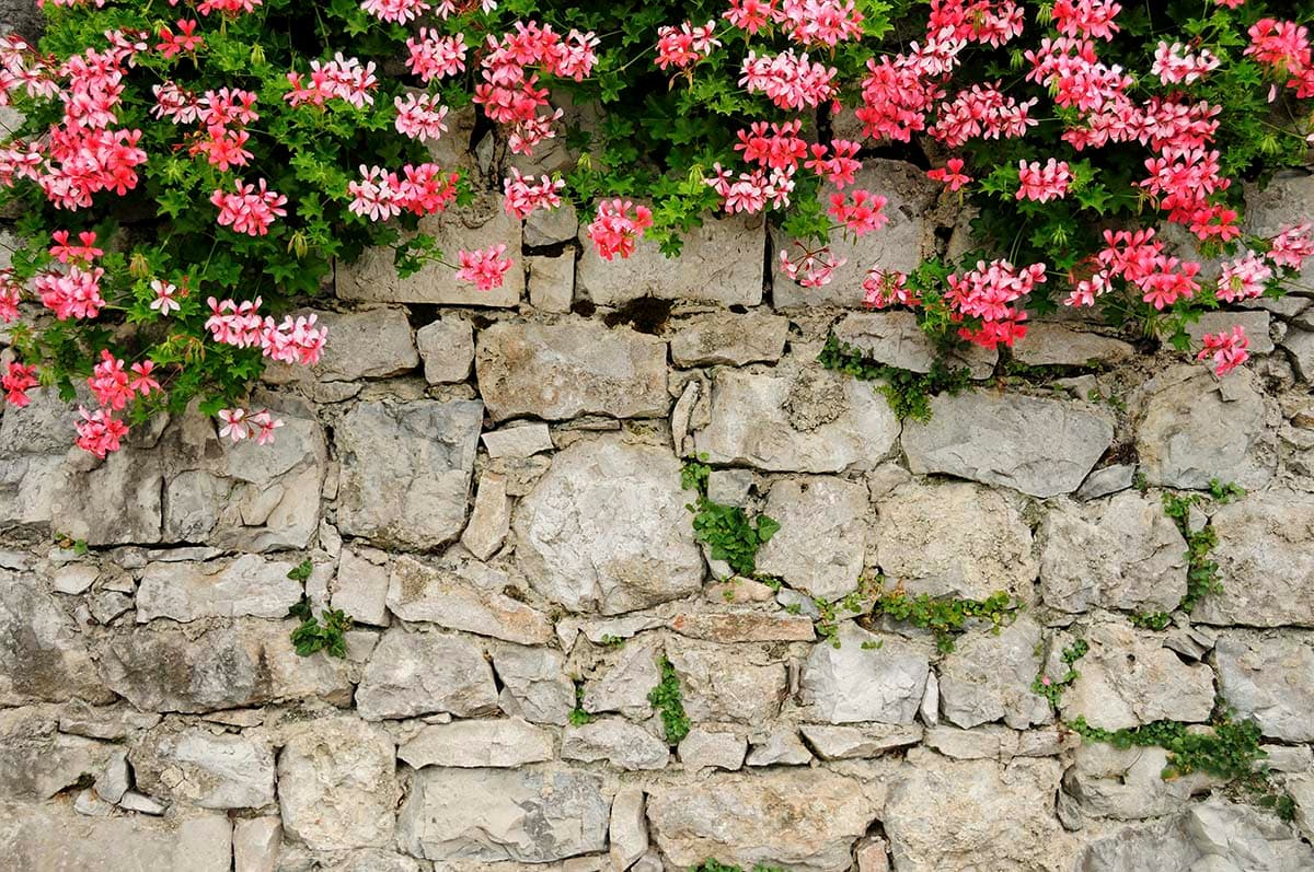 Premium Stone Wall Pink Blossom Design Wallpaper pattern detail
