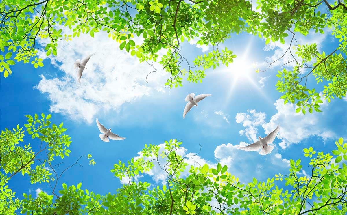 Ceiling Wallpaper With Green Trees and Birdy Flying in Clear Sky pattern detail