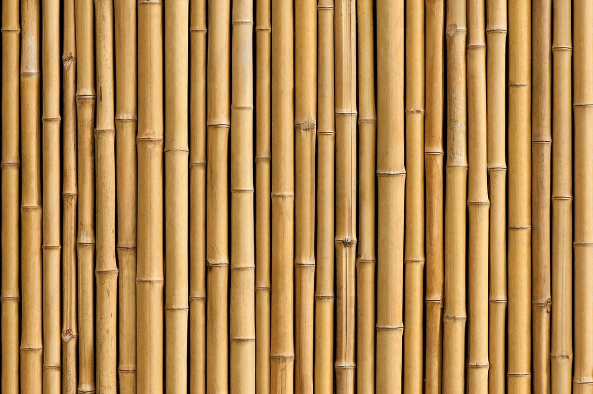 A 3D Effect Bamboo Wallpaper for Mural pattern detail