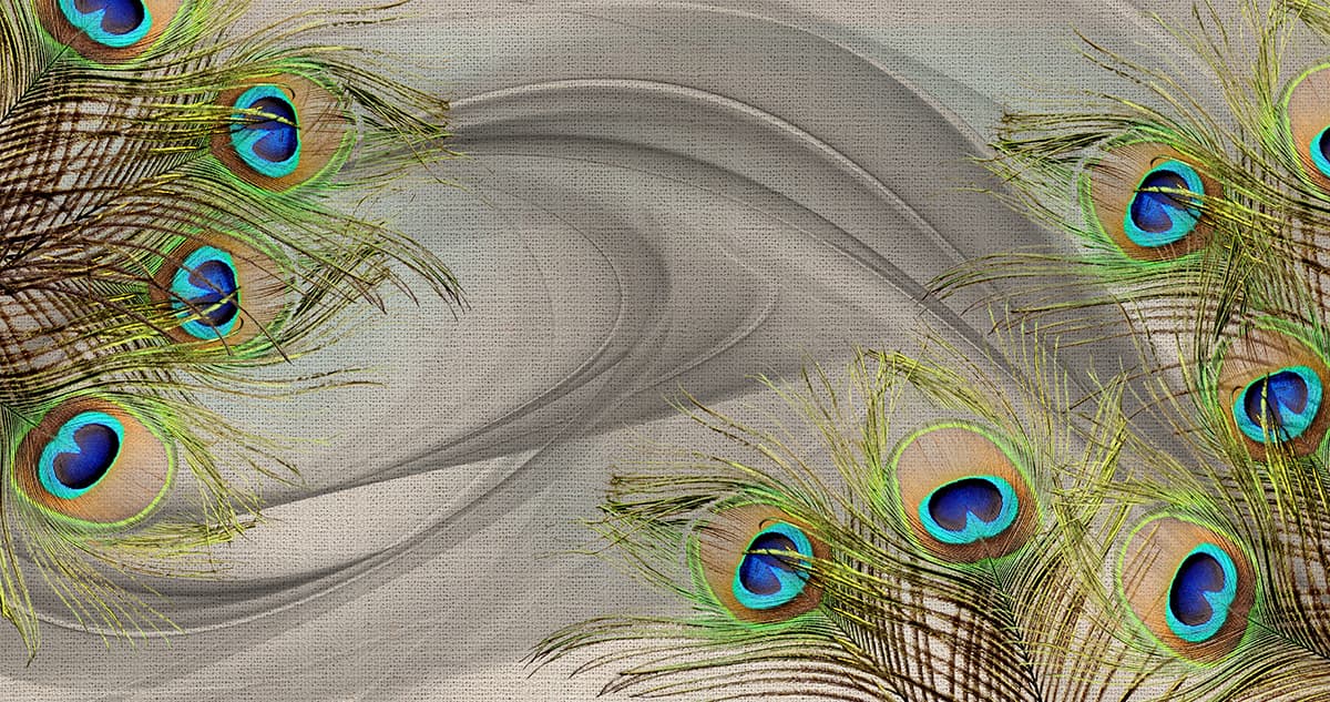 Peacock feathers Wallpaper pattern detail