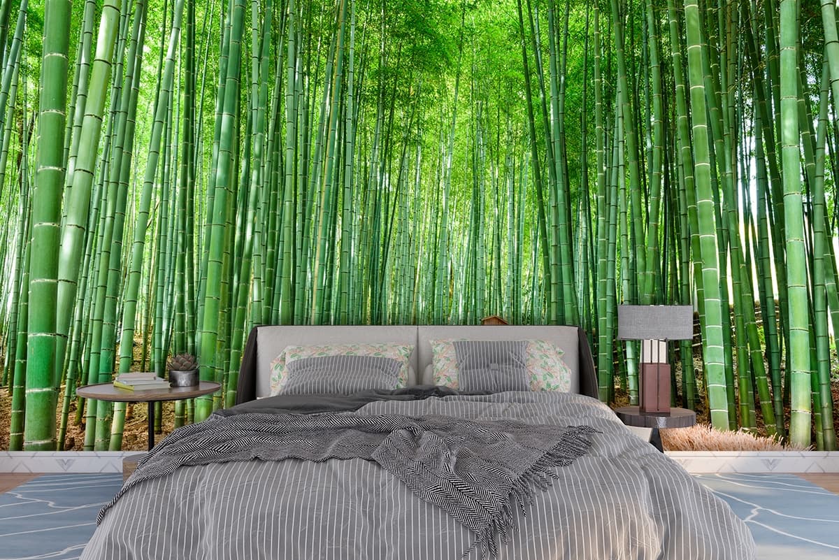 Bamboo Forest Wallpaper for Walls, Forest Bamboo Mural shown in a room
