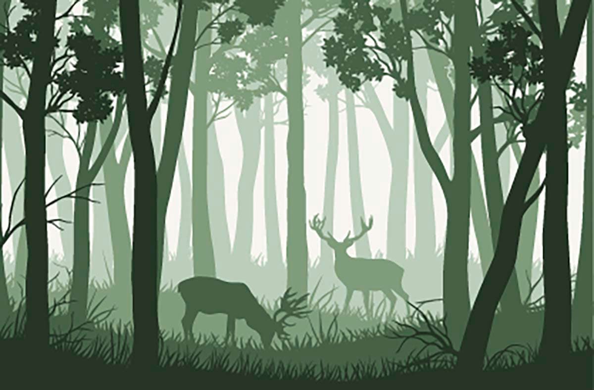 Deer in Forest Wallpaper for Walls pattern detail