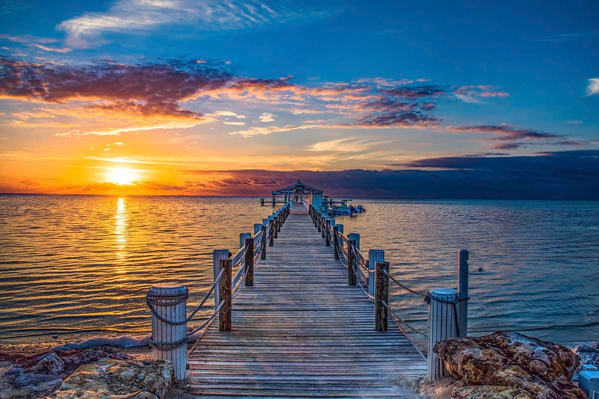 Peaceful Dock Pathway to Water Scenic Wallpaper pattern detail