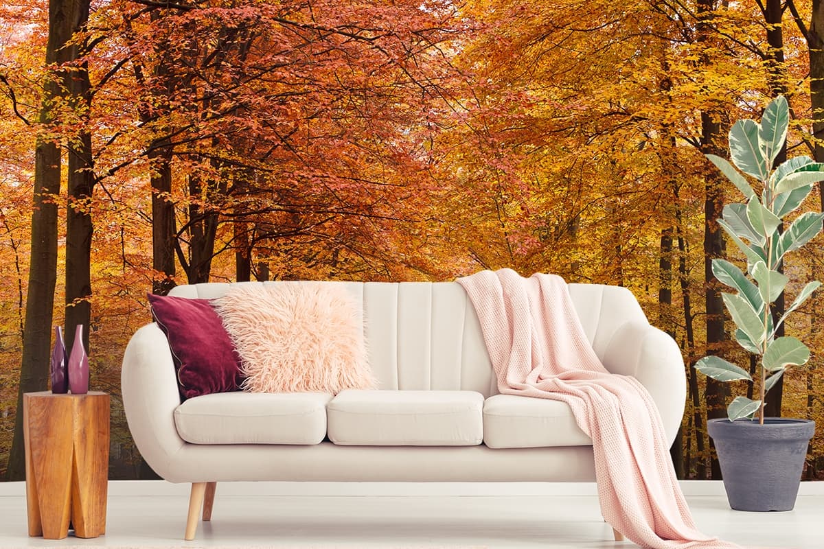 Orange and Yellow Leaves Trees, Forest Wallpaper for Walls shown in a room
