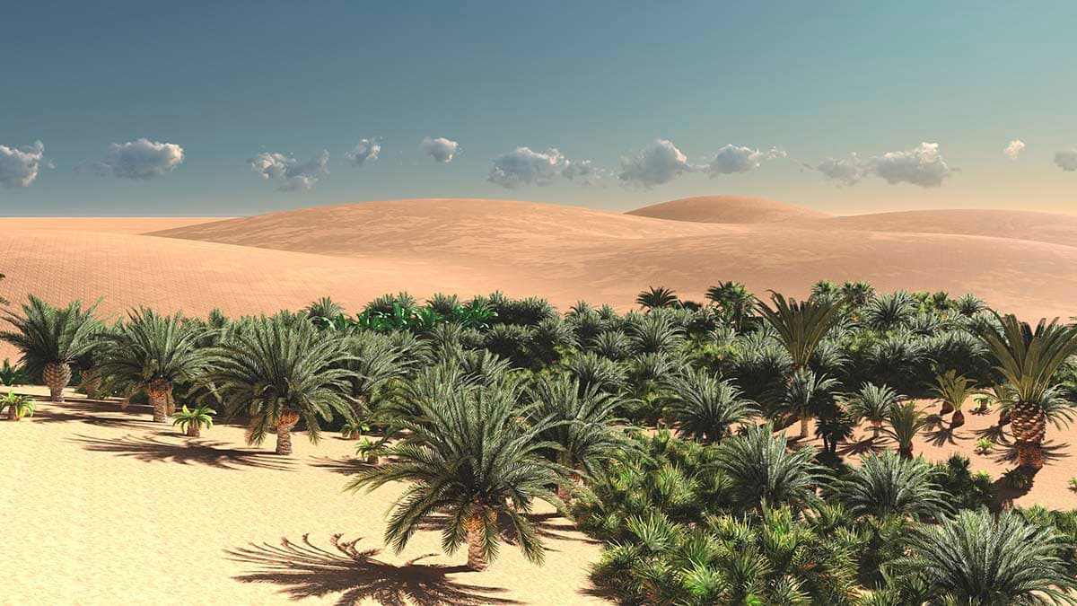 Palm Trees in Desert Landscape Scenic Wall Mural Wallpaper pattern detail