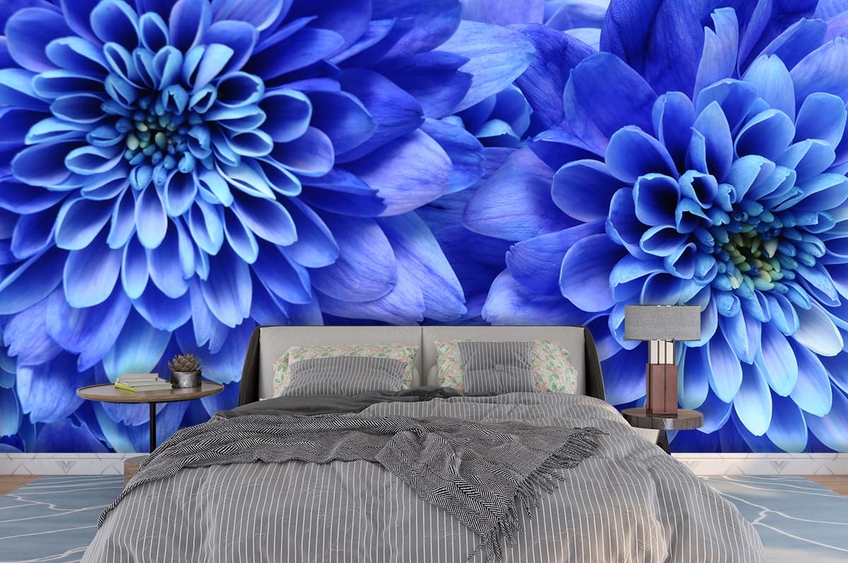 3D Effect Blue Chrysanthemums Wallpaper for Walls shown in a room