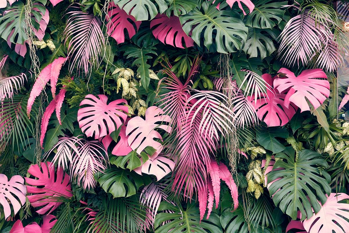 Pink and Green Leaves Aesthetic Botanical Design Wallpaper pattern detail