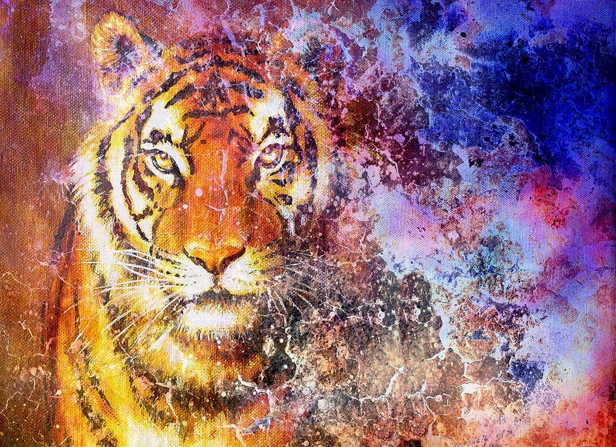 Colorful Tiger Artistic Background Wall Mural Wallpaper pattern detail