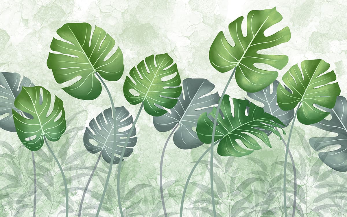 Swiss Cheese Plant Wallpaper for Home pattern detail