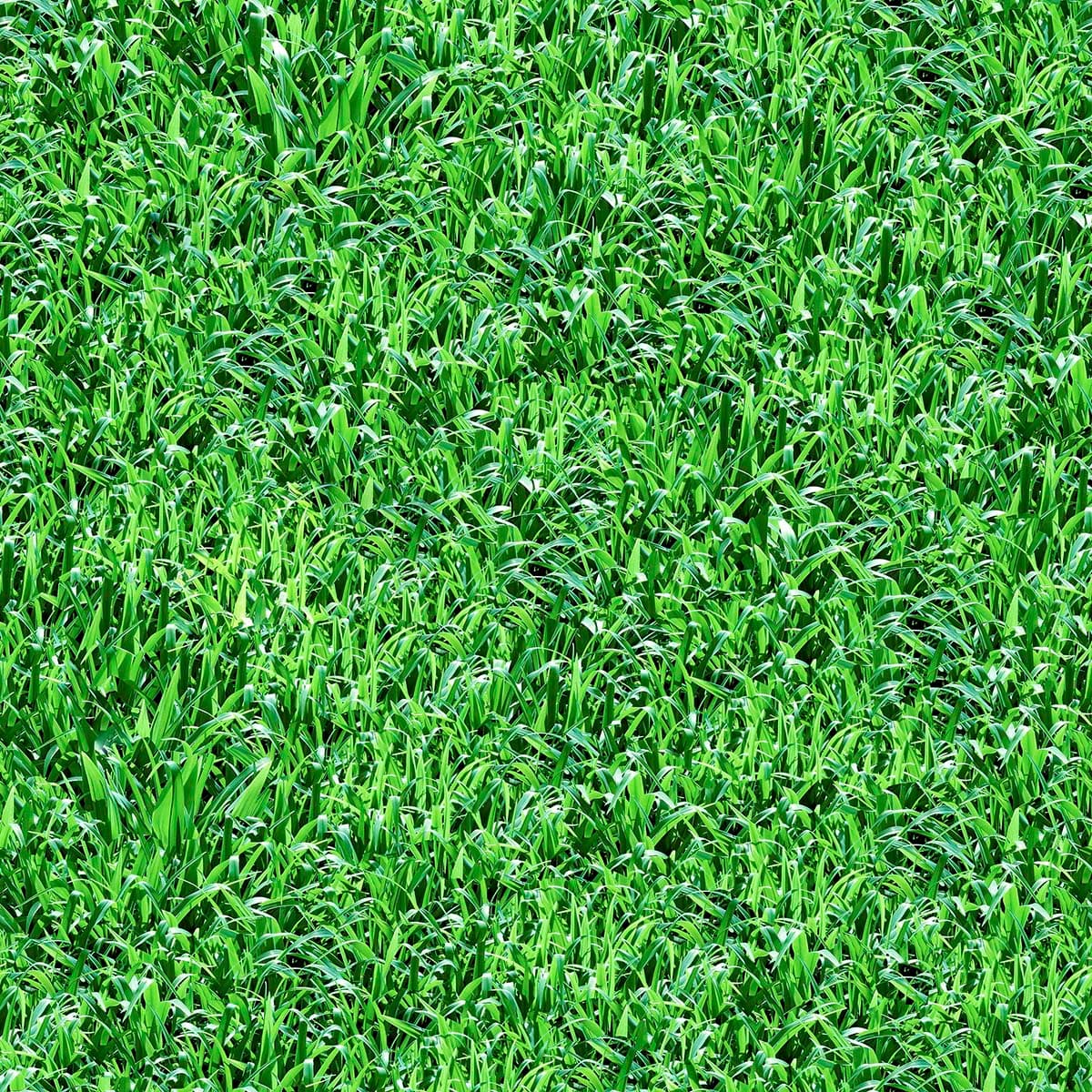 Refreshing Green Grass Wallpaper Mural pattern detail