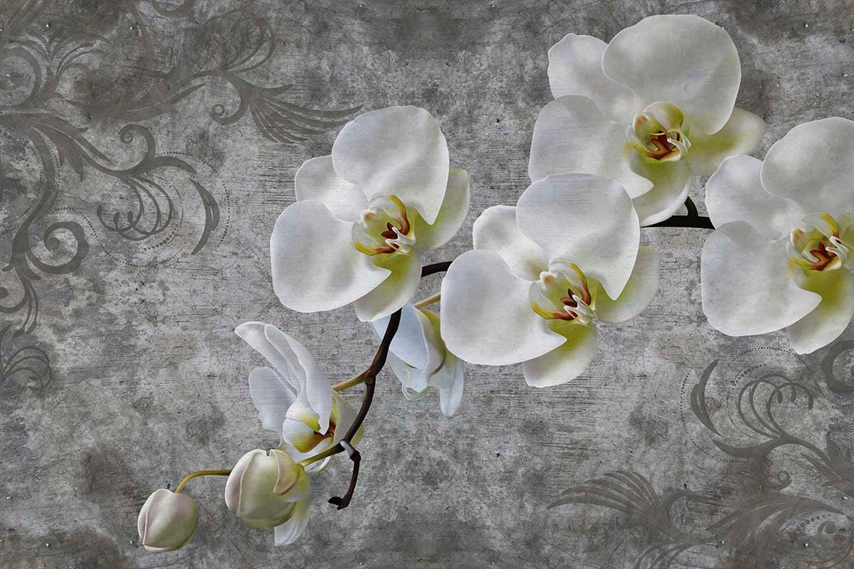A white orchids on a branch pattern detail
