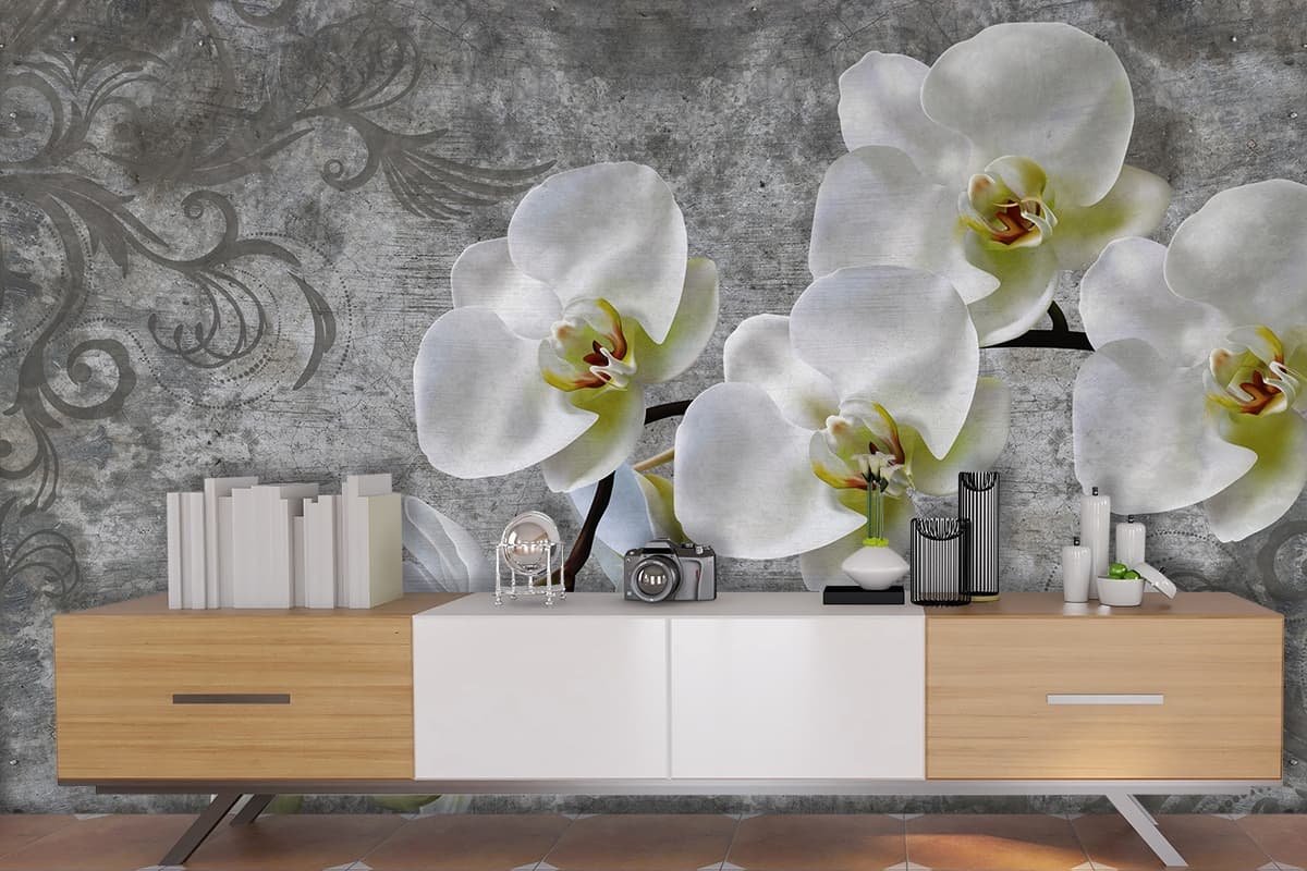 A white orchids on a branch shown in a room