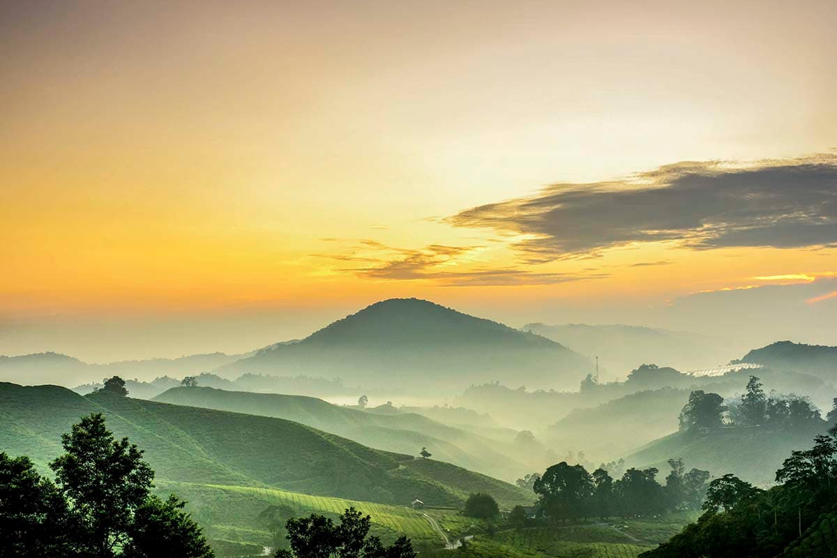 Mountain Wallpaper, Foggy landscape with hills and trees pattern detail