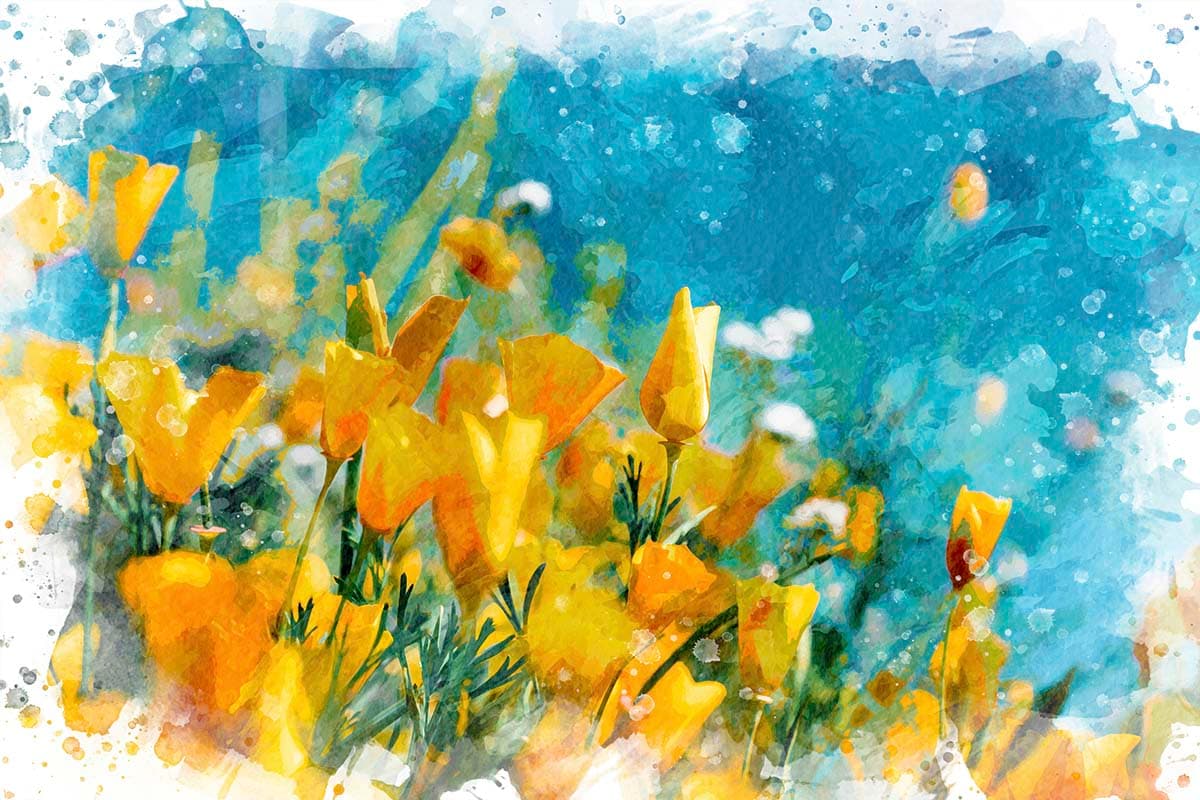 Beautiful Yellow Flower Meadow Nature Wallpaper pattern detail