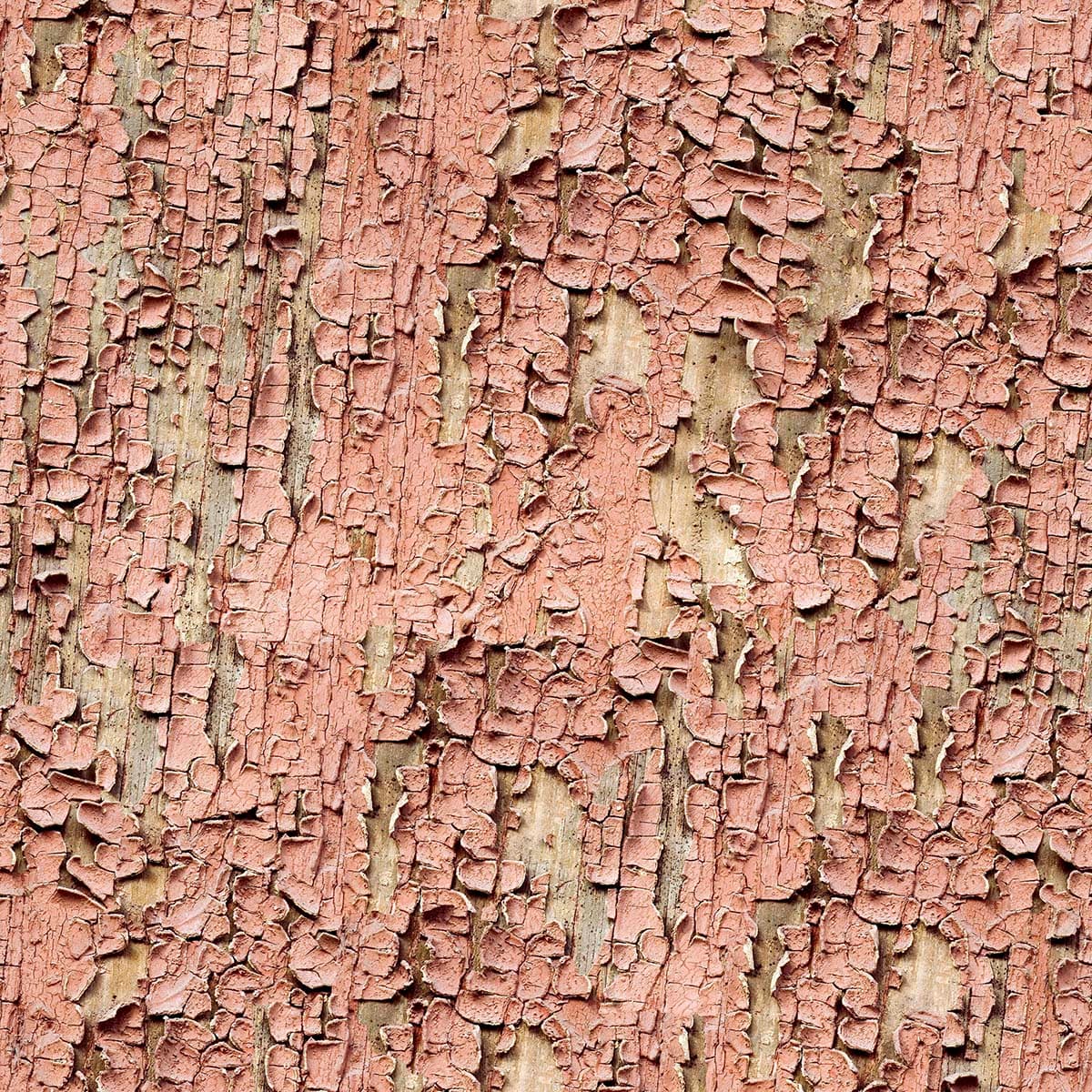 Unique Rough Pink Paint Texture Mural Wallpaper pattern detail
